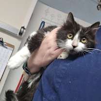 Thumbnail photo of Nuclear Lobster #3