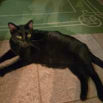 Thumbnail photo of Diego  #2