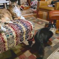 Thumbnail photo of Montgomery #4