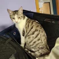 Thumbnail photo of Draper #2