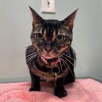 Thumbnail photo of Nirvana  #2