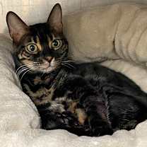 Thumbnail photo of Nirvana  #4