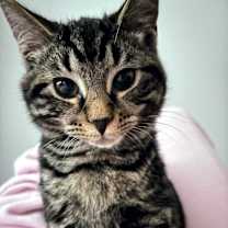 Thumbnail photo of Benny #2