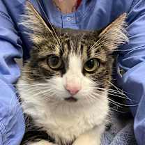 Thumbnail photo of Madeleine #2