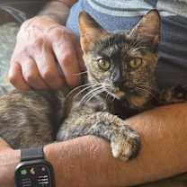 Thumbnail photo of Sophia #3