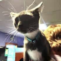 Thumbnail photo of Mick #2