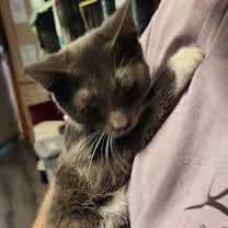 Thumbnail photo of Mick #3