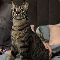 Thumbnail photo of Pretty #3