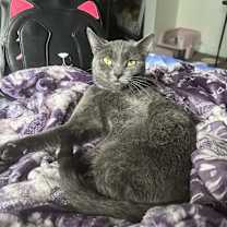 Thumbnail photo of Maylee #3