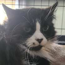 Thumbnail photo of Marilyn #1