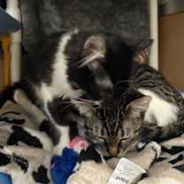 Thumbnail photo of Naima #3