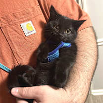 Thumbnail photo of Myrtle #1