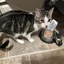 Thumbnail photo of Chloe #2