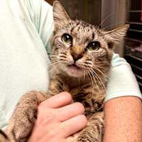 Thumbnail photo of Eden #3