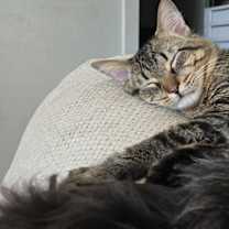 Thumbnail photo of Nuit #3