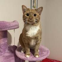 Thumbnail photo of Miley #2