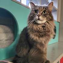 Thumbnail photo of Gary #1