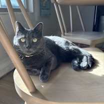 Thumbnail photo of Winnie #2