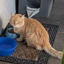 Thumbnail photo of alfie #3