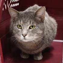 Thumbnail photo of Jack Frost #1