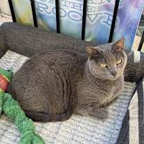 Thumbnail photo of Bayou #1