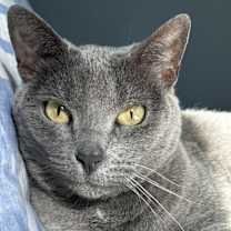 Thumbnail photo of Bayou #2