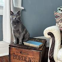 Thumbnail photo of Bayou #3