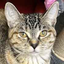 Thumbnail photo of Bert #1