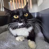 Thumbnail photo of Winnie #3