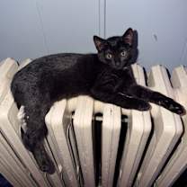 Thumbnail photo of Luna #1