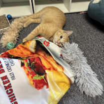 Thumbnail photo of Lightning #2