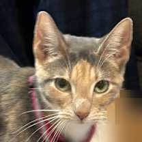 Thumbnail photo of Delilah Diamond #1