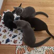 Thumbnail photo of Dave #2