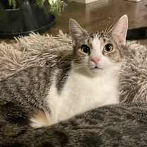 Thumbnail photo of Winter #1