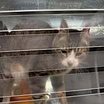 Thumbnail photo of DJ #4