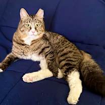 Thumbnail photo of Sky #3