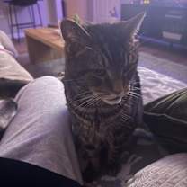 Thumbnail photo of Blake #1