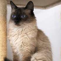 Thumbnail photo of Lily #1