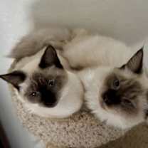 Thumbnail photo of Marie #4