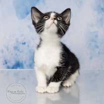 Thumbnail photo of Zoey #4