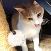 Thumbnail photo of Denver #1