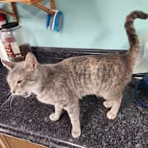 Thumbnail photo of Oceania #3