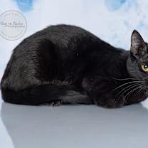 Thumbnail photo of Colette #1