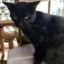 Thumbnail photo of Peak #3