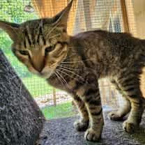 Thumbnail photo of Toby #2