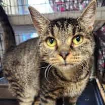 Thumbnail photo of Booberry #1