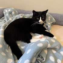 Thumbnail photo of Dena #4