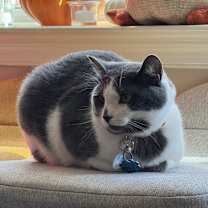 Thumbnail photo of Butter #1