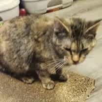 Thumbnail photo of Joanna #2