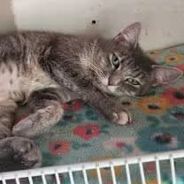 Thumbnail photo of Olivia #2